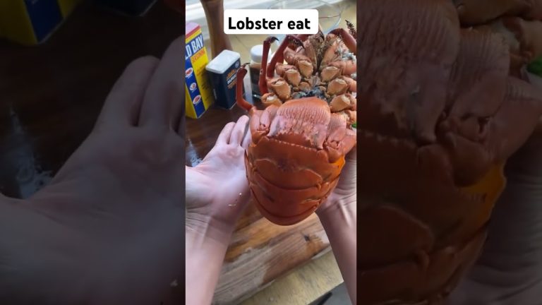 lobster #food #seafood #seafoodrecipes #cooking foodstagram#lobster#foodie#love#yummy#foodblogger