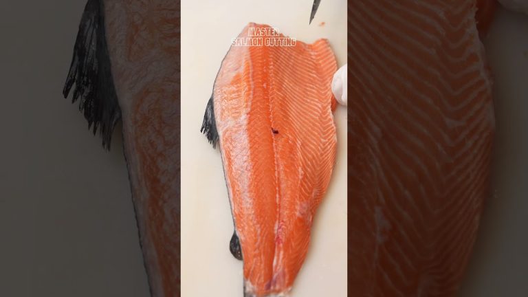 How to Fillet a Whole Salmon | How to Make Sashimi #1 #salmonasmr #salmonsashimi #salmoncutting