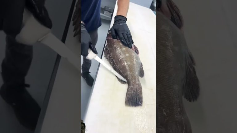 #fish #fishing #satisfying #seafood #bigfish #food #meat #streetfood #seafoodrecipes #bbq