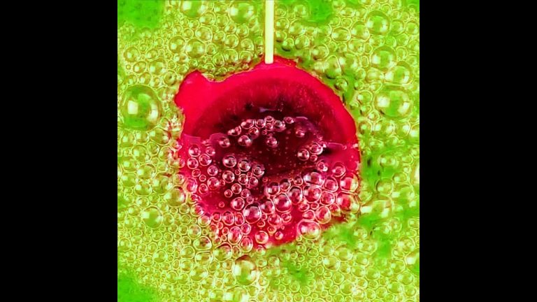 Exquisite marshmallow dessert to show off with friends 🍨 Yummy! 🤤