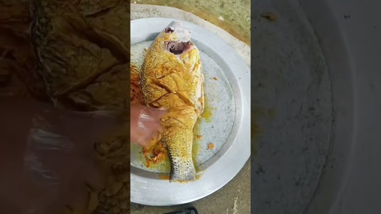 জামাই আপ্যায়নের রেসিপি।#village #villfoodcooking #villfood #cooking #shorts