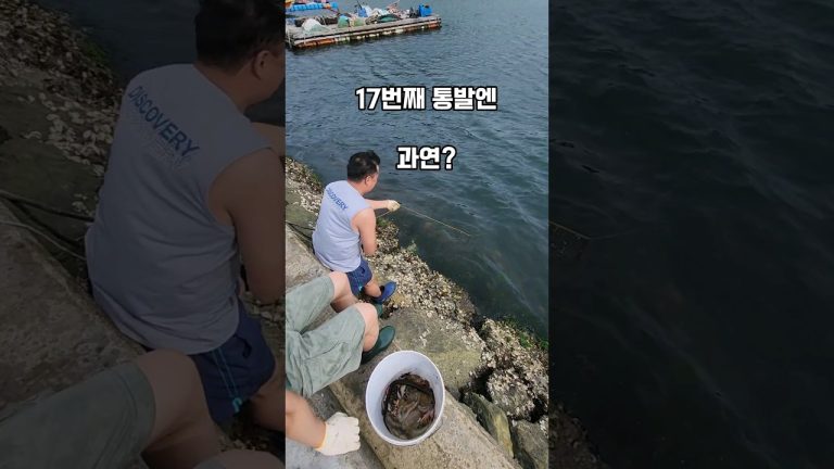 행운의 숫자가 들어가면 벌어지는일.. #남해 #제철생선 #바다 #작업 #fish #seafood #통발 #행운의숫자