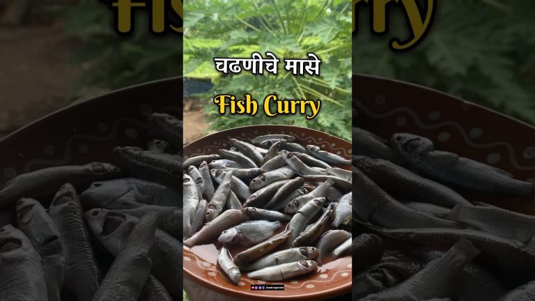 चढणीचे मासे | Fish Curry Recipe | #shorts #viral #fishcurry #recipe #trending #cooking #kokan #reels