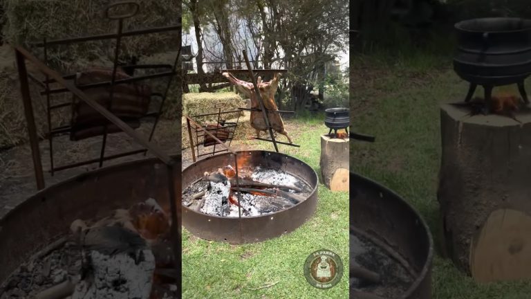 VIVA LA PATRIA! 🙌🇦🇷#argentina #asador #asado #carne