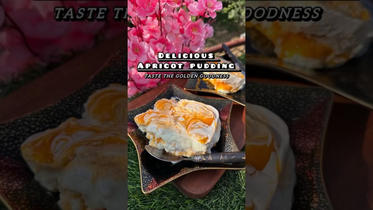 Brand New Dessert Recipe||Delicious Apricot Pudding||Khubani Ka Meetha||Apricot Delight#shorts#food