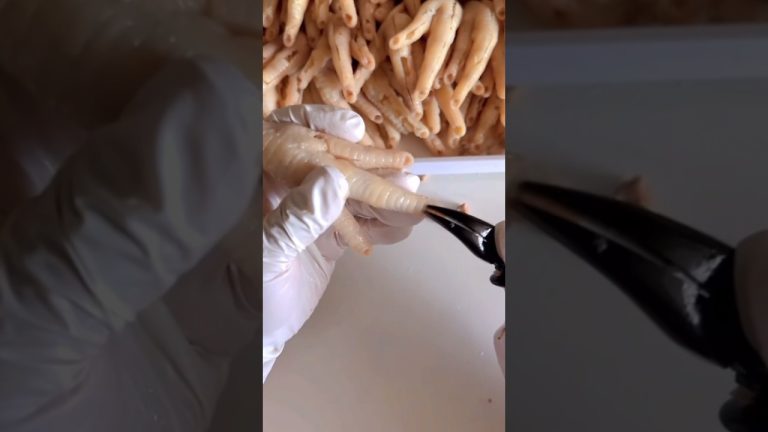 China food #streetfood #food #delicious #chinafood #deliciousfood #cooking #foodlover #eating