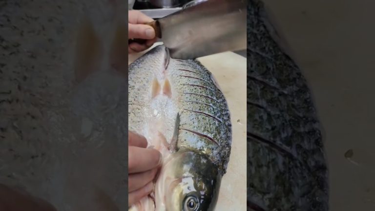 chicken meke the fish 🐠 / good resepi | i love this Resepi #yt #tik #fyp #food #fyp #china #fish #fo