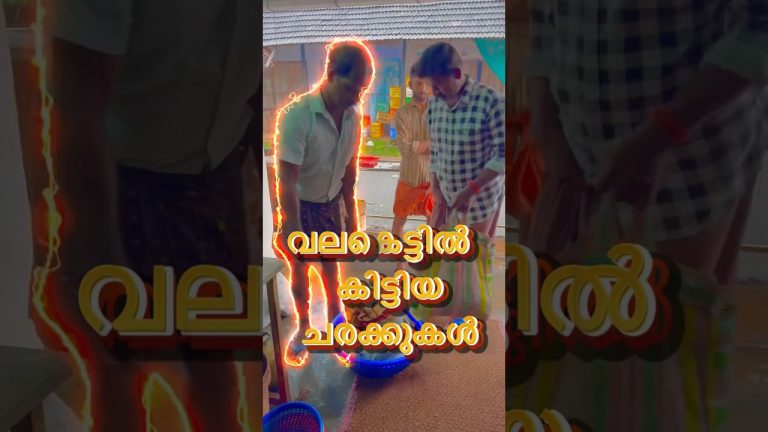 വലകെട്ടിൽ കിട്ടിയ ചരക്കുകൾ😱 #shortsvideo #shorts #seafood #seafoodrecipes