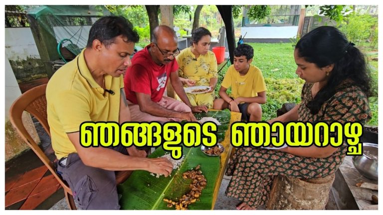 അങ്ങനെ ഇതിന്റെ കാര്യത്തിൽ തീരുമാനം ആയി…/Beef recipe /Village cooking/Family getogether/Beef curry