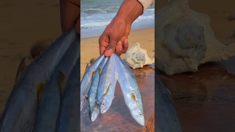 Let's eat fish 🐟😋 #shorts