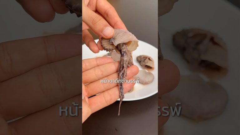 3 หมึกทะเลแปลก 🐙 #อร่อยมั้ย #Seafood