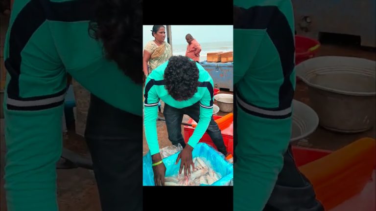 #viralreels#fishing#seafood#mahigangaputra13#fish#mahigangaputra13#trendingreels#seafoodrecipes