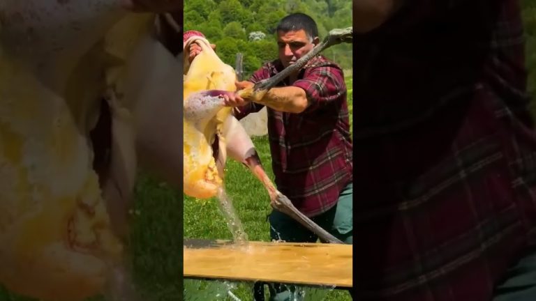 wildlife survival eat chicken 🍗 #cooking #wildsurvival #eatfish #food #wildlifesurvival