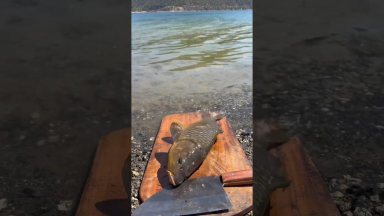 Fish 🐟 #camp #cooking #solocamping #food #campfood #camping #outdoorcooking #recipe