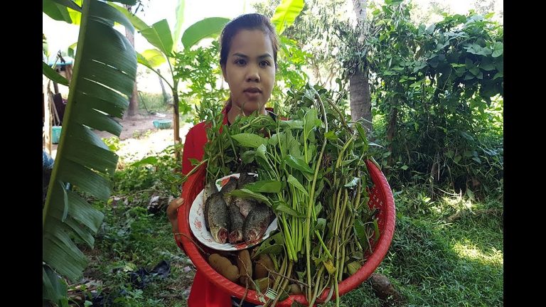 Awesome Cooking Fish With Water convolvulus Recipe-Cook Fish Recipes-Village Food Factory-Asian Food