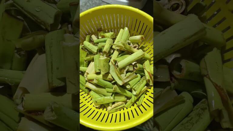 Taro flower with pork #shorts #bododish #cooking #recipe #bodo #assam