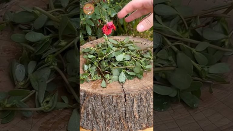 Unique Healthy Dish👌🏻