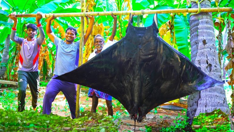 120 KG MONSTER DARK BAT MANTA RAY FISH | WHOLE LAMB BBQ | SPICY BOTI GRAVY | Village Style Recipes