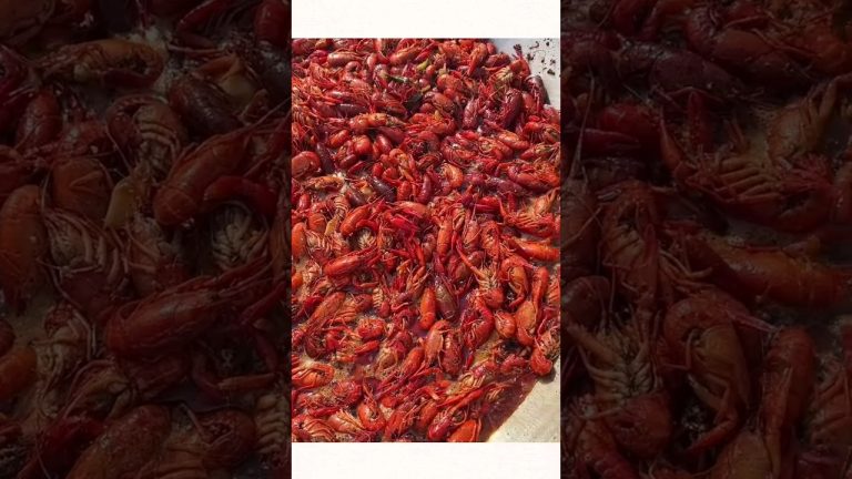 lobster#delicious #cooking #food #mukbang #eat #recipe #yichen