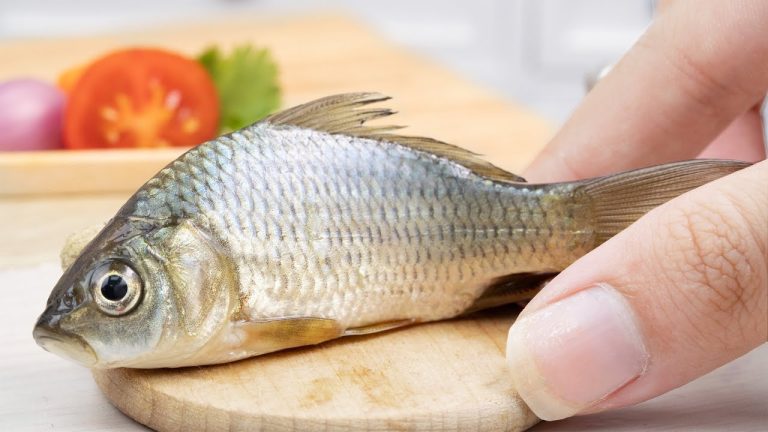 Recipes Miniature Seafood 🐙 Miniature Delicious Fish Soup Recipe 😍 Recipes Seafood