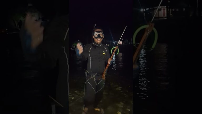 Nightdive spearfishing preparation #fishing #seafood #seafoodrecipes #seafoodlove