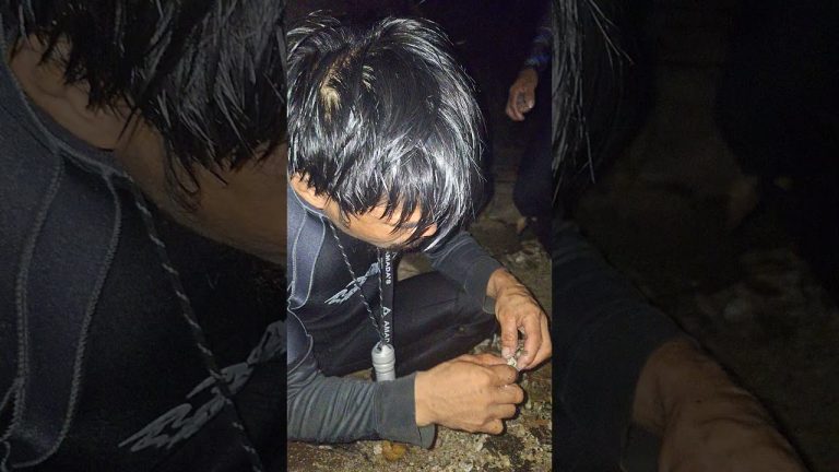 Seafood fresh #fishing #food #seafood #fish #seafoodrecipes #shorts