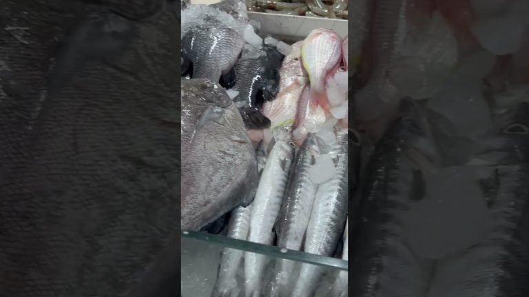 ചാകര കൊയ്തു@MKvlog716 #seafood #sharjah #palmjumeirah #fish #nature #seafoodrecipes #travel