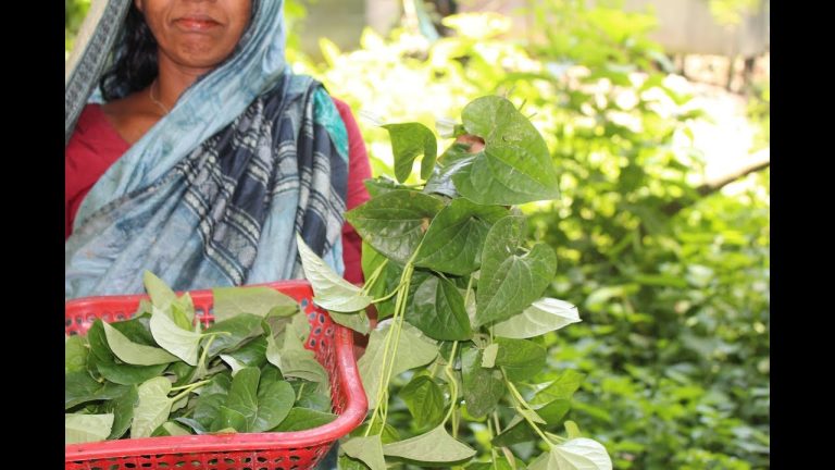 Village Food | Delicious small fish recipe | Grandmother recipes-113