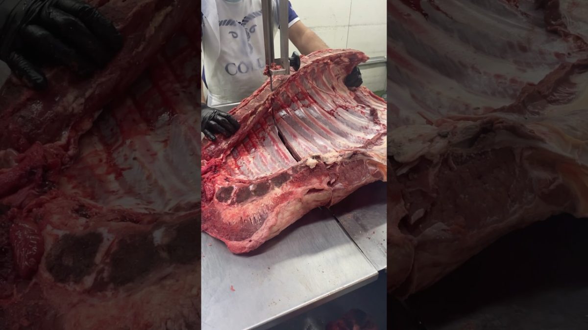 Beef ribs cutting Big Australian black Angus beef ribs cutting#shorts