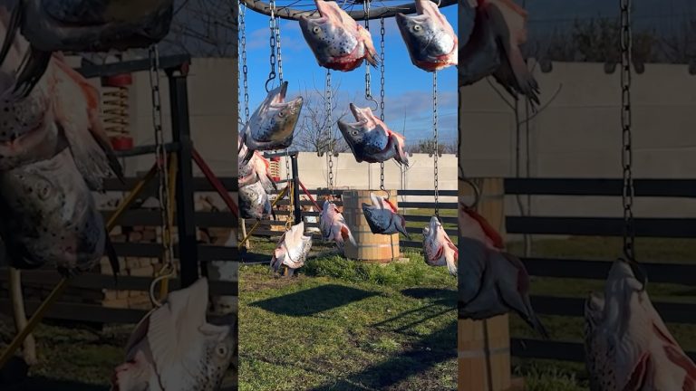 A Simple Recipe for Fish in Cans! Delicious 😋