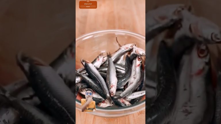 fish fry 🍤🤤 #food #fish #nickdigiovanni  #recipe #fried