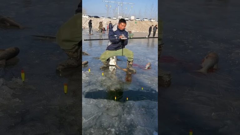 Wow😯 #viralvideo #fishing #fishnig #seafood #buggsfishing #fish #viralshort #seafoodrecipes #shark