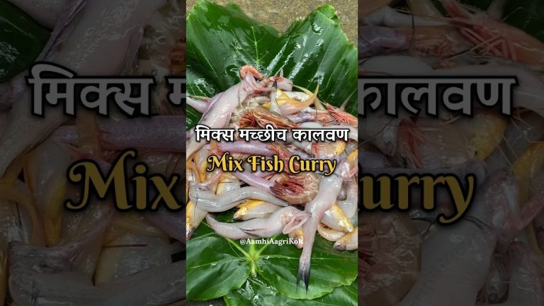 मिक्स मच्छीच कालवण | Mixed Fish Curry | Fish Curry | Fish Masala |