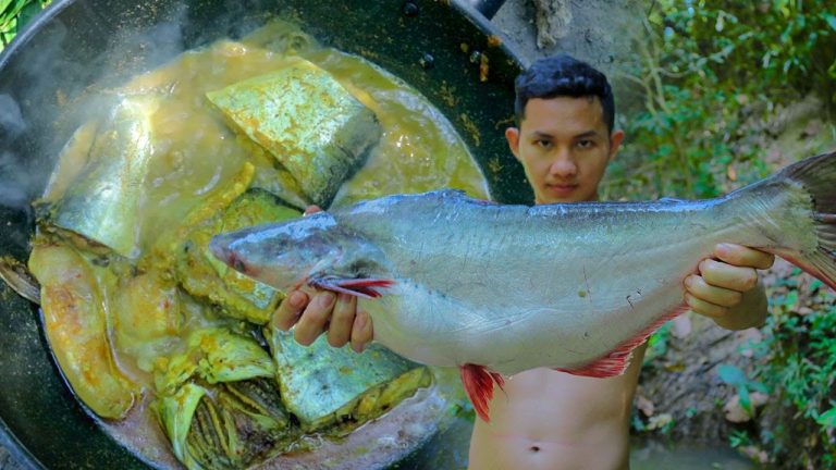 Cooking Tasty Fish – Cooking Tasty Fish Sour Soup Recipes in Forest