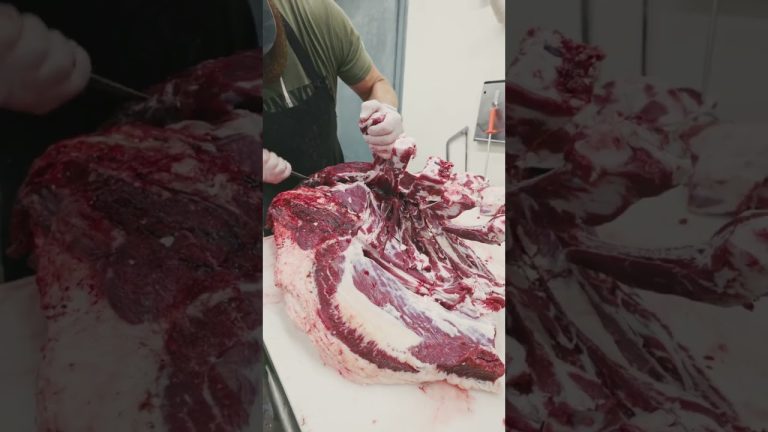 Deboning a beef front quarter. 🔪🐂 Full video is live on our YouTube channel! #shorts