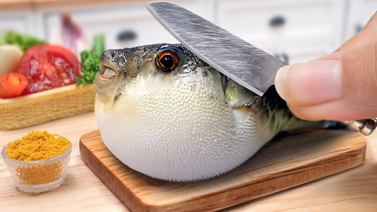 Yummy Miniature Puffer Fish Curry Recipe 🐠 Cooking Blow Fish with Rice in Mini Kitchen – ASMR Video