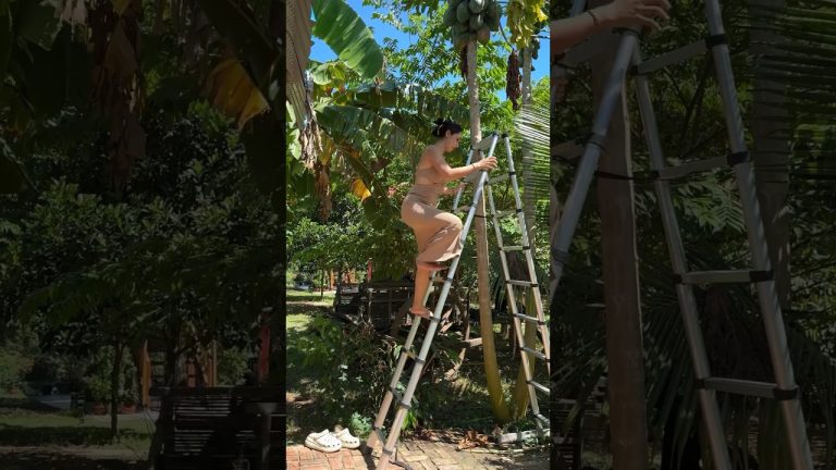 How to cook papaya salad recipe #cooking #food #recipe #shorts #shortvideo