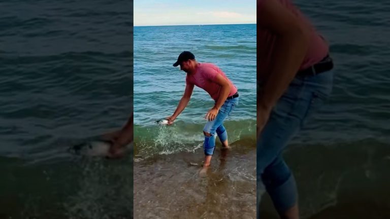 The Ultimate Catch and Cook!