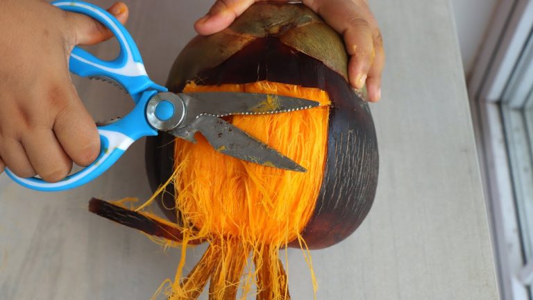 মাত্র কয়েক মিনিটে তাল থেকে তালের রস বের করার গোপন টিপস, ঝটপট জেনে নিন। Taler Ros