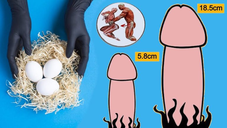 This Secret Smoothie  is Wanted Everywhere – Banana Egg Avocado Milk Carrot