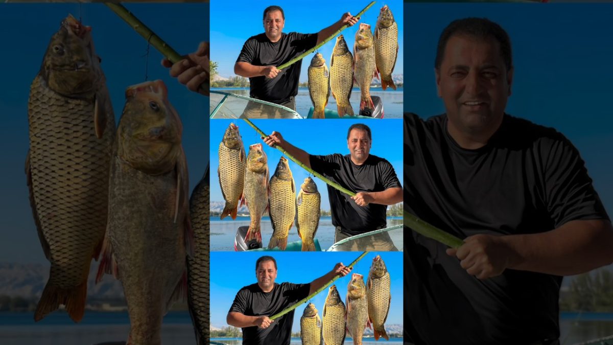 Unforgettable Fish Lunch: Best Recipes from Nature | Catch & Cook #shorts #fish #food #village