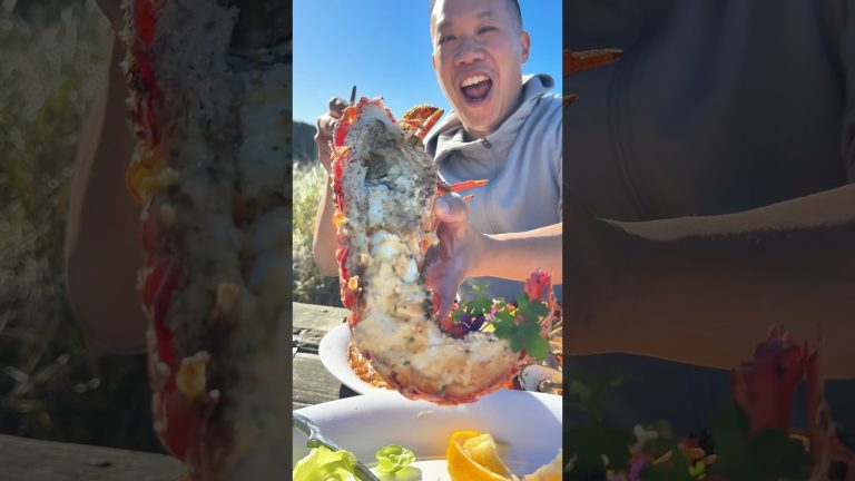 Everything We Ate In Kaikoura New Zealand 🇳🇿 (Freshest Seafood We’ve Ever Had)