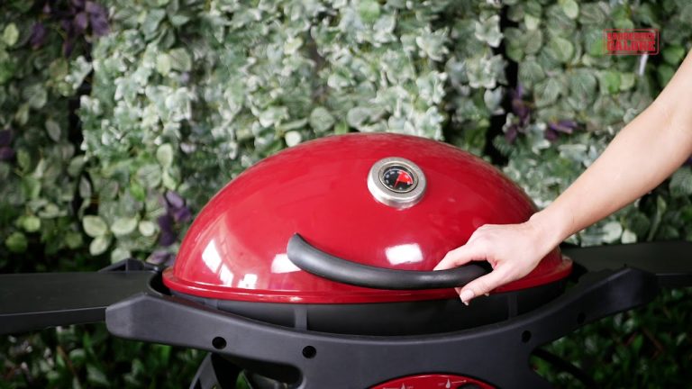 Ziegler & Brown Twin Grill Product Review