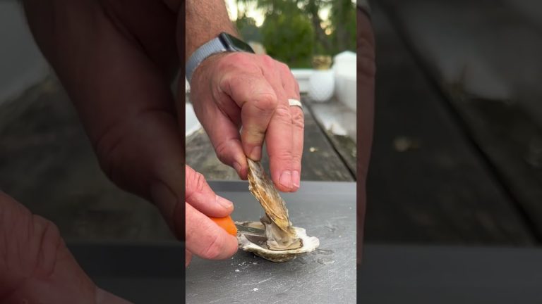 Eating Raw Oysters- West Island Oysters #oysters #seafood #tastetest