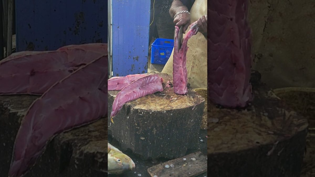 மஞ்சபாறை மீன் Cutting#nagercoilfish #seafood #fishing #tnfishermen #fish #seafoodrecipes #youtube
