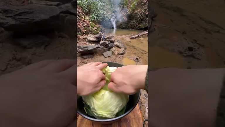 stuffed cabbage with minced meat