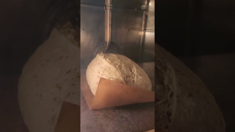 sourdough today 사워도우 연습  #sourdoughbread #baking #homemadebread #bread #sourdough