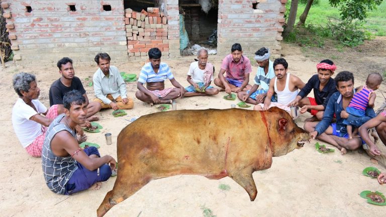 50 kg pig meat cutting and cooking chaat with pork fat and intestine | how to cook pork by tribe