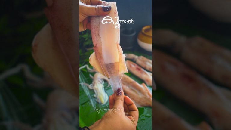 കൂന്തൽ ഇഷ്ടമില്ലാത്തവർ വരൂ ഇതിലെ..#recipes #squid #fishcurry #squidroast #keralameencurry #koonthal