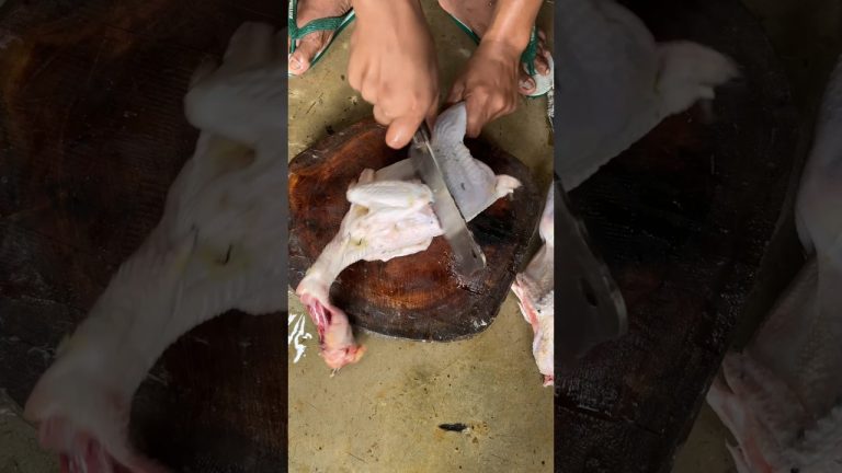 Potong ayam kampung #cuttingskills #ayamsegar #chickenrecipes #chicken #chickencutting #short